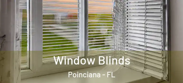  Window Blinds Poinciana - FL